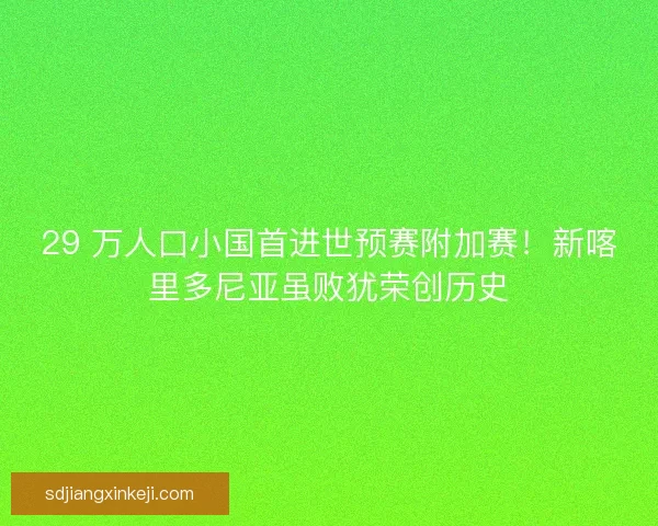 29 万人口小国首进世预赛附加赛！新喀里多尼亚虽败犹荣创历史
